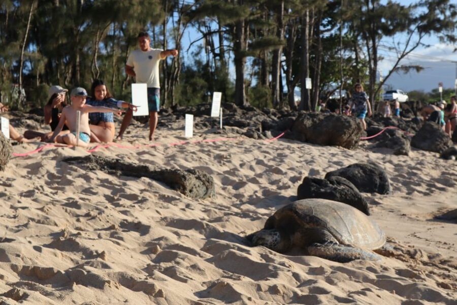 Oahu: Active Circle Island Tour - Makapuʻu Lighthouse and the first hike