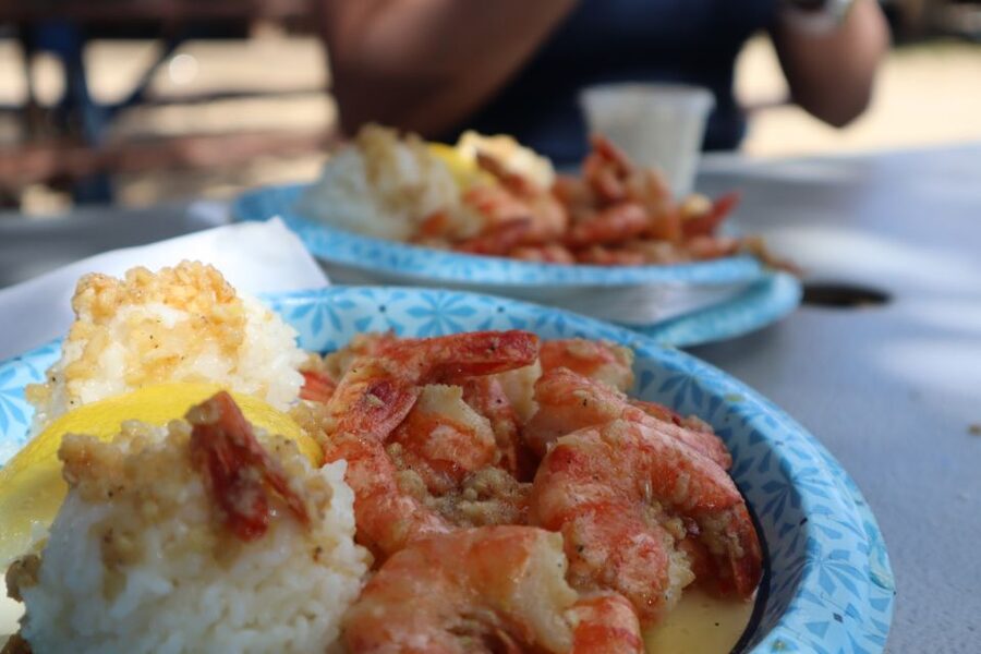 Oahu: Active Circle Island Tour - Lunch at Giovanni’s shrimp truck