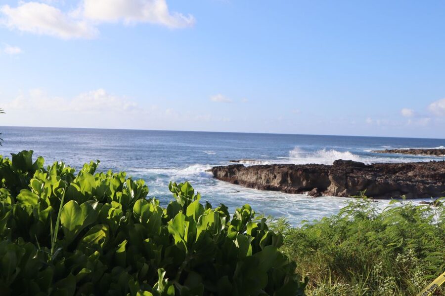 Oahu: Active Circle Island Tour - Sharks Cove snorkeling