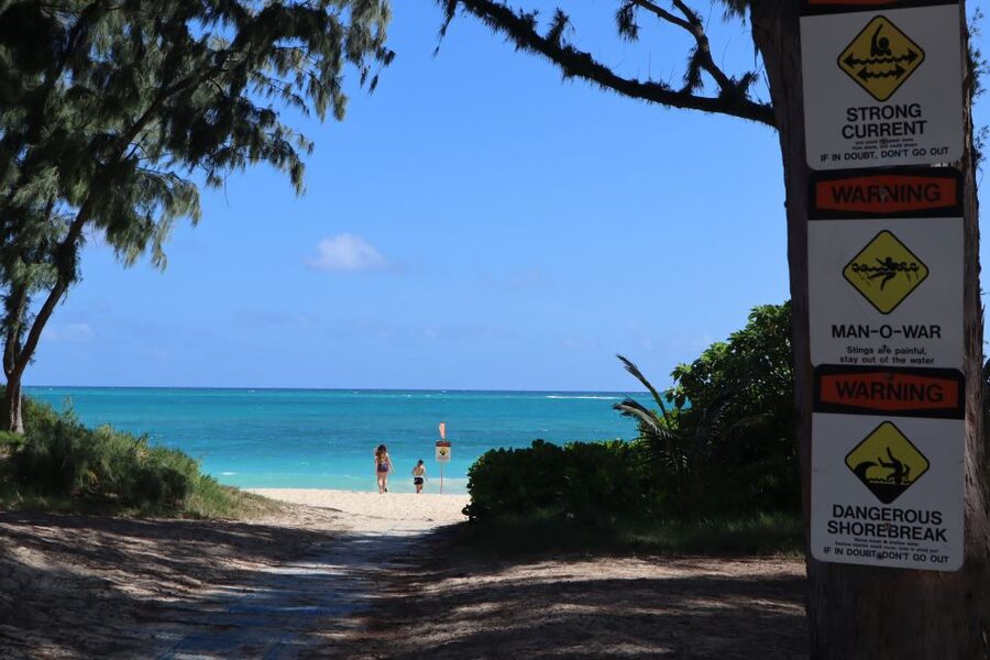 Oahu: Active Circle Island Tour - Turtle Beach and Manoa Waterfall