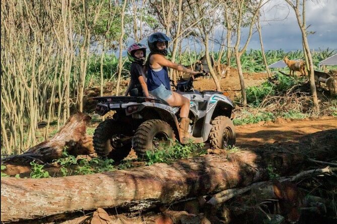 Oahu Beachfront ATV Adventure and Farm Tour - How much beachfront do you actually see?