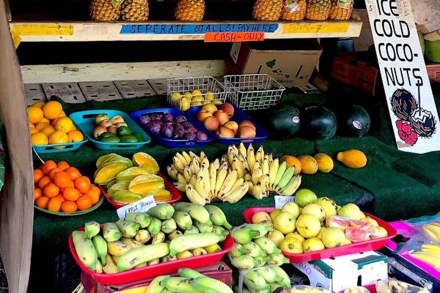 Oahu: Beauty and the Feast Circle Island Experience - What this eight-hour Oahu tour is really like