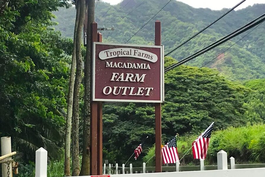 Oahu: Beauty and the Feast Circle Island Experience - The guides make a major difference