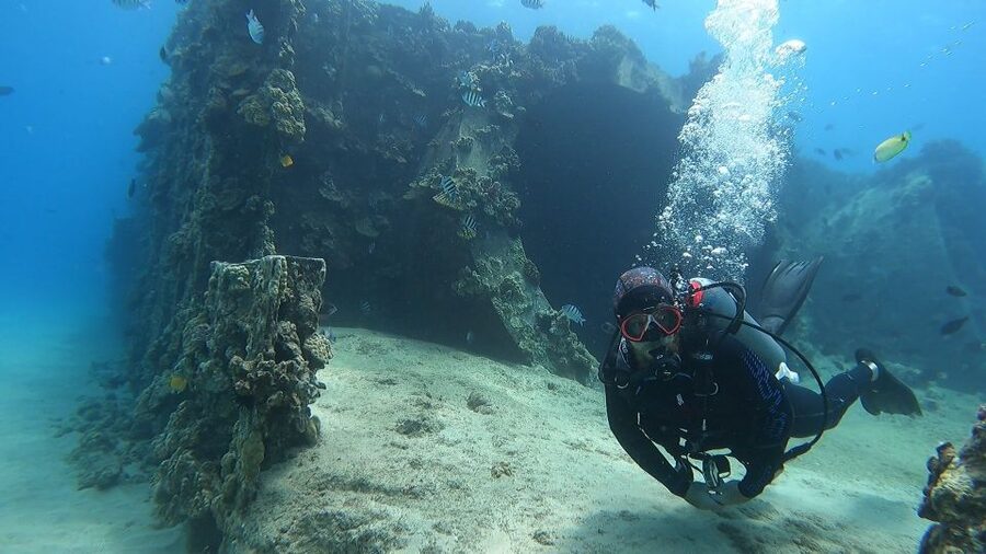 Oahu: Beginner SCUBA Dive at Electric Beach - What You Actually Get for $175 at Electric Beach