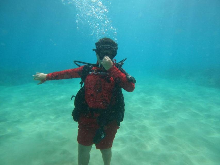 Oahu: Beginner SCUBA Dive at Electric Beach - Carrying the Equipment Is the Real Physical Test