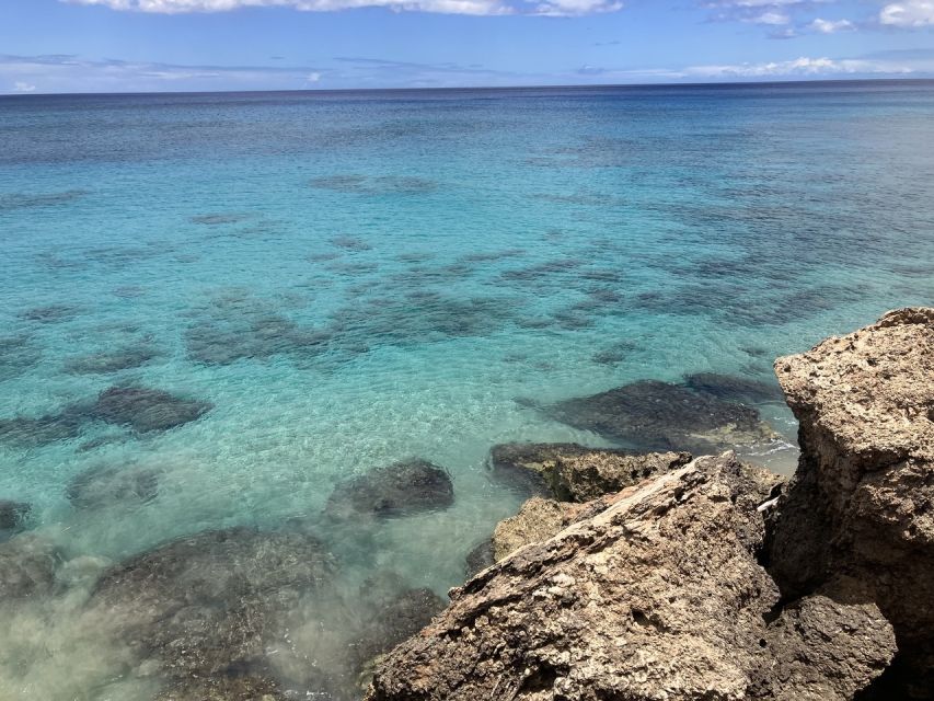 Oahu: Beginner SCUBA Dive at Electric Beach - Photos Without Managing Your Own Camera