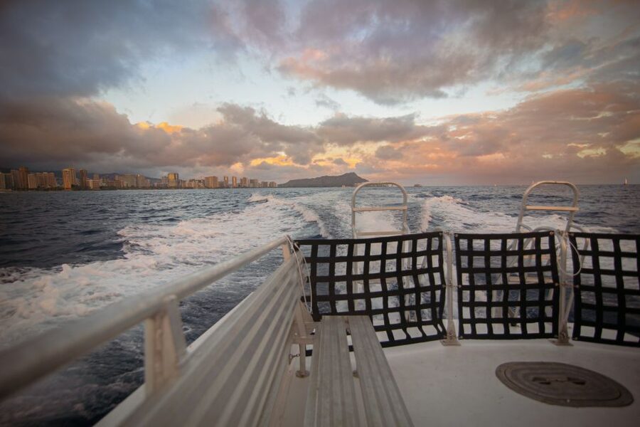 Oahu: BYOB or Cash Bar Waikiki Sunset Cruise - What the wildlife sightings add