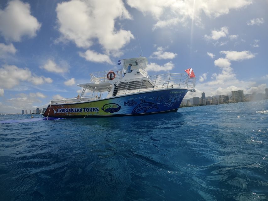 Oahu: BYOB or Cash Bar Waikiki Sunset Cruise - What happens from Kewalo Basin to Waikiki