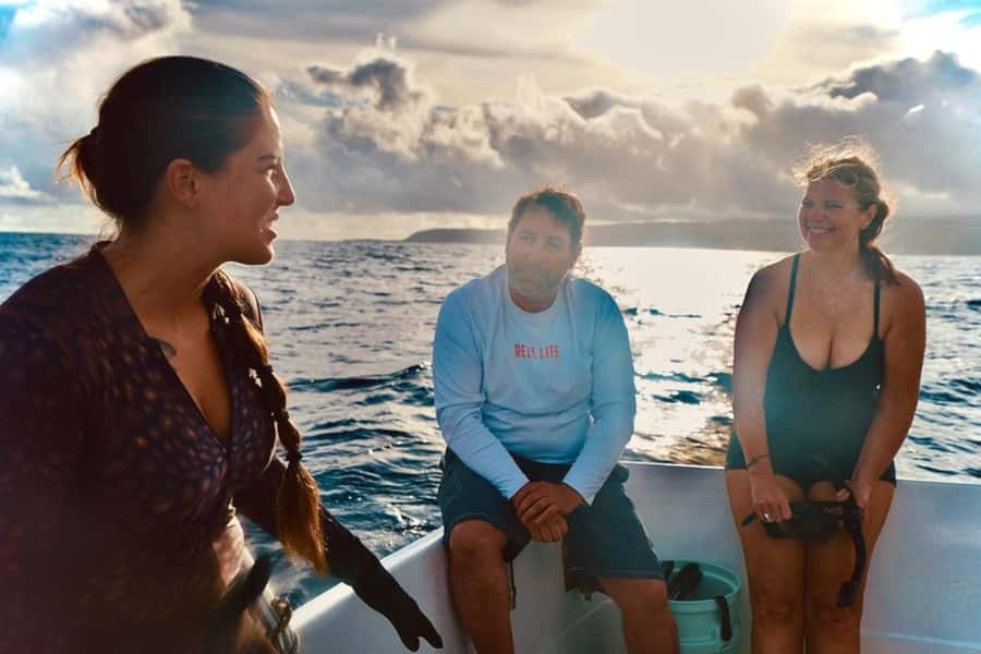 Oahu: Cageless Shark Dive Adventure - Key points to know before booking