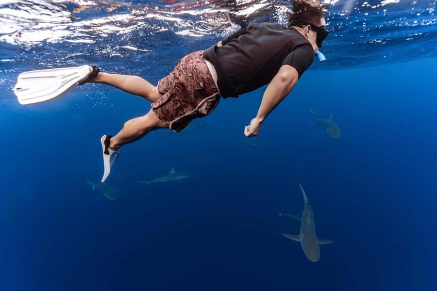 Oahu: Cageless Shark Dive Adventure - The North Shore setting and the short boat ride