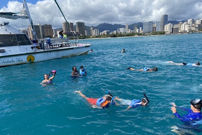 Oahu Catamaran Snorkel Tour: See Turtles 100% Guaranteed - Turtle Canyon’s Green Sea Turtles