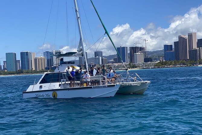 Oahu Catamaran Snorkel Tour: See Turtles 100% Guaranteed - Respecting the Reef and Its Animals