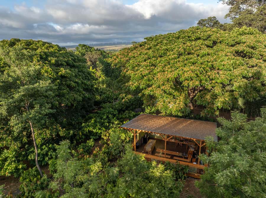 Oahu: Chocolate Farm Tour with Tasting - Kamananui Cacao - Key points to know before you book