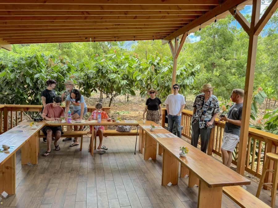 Oahu: Chocolate Farm Tour with Tasting - Kamananui Cacao - Is $93 a fair price?