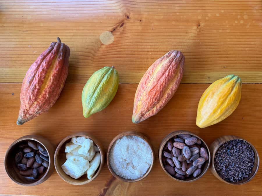 Oahu: Chocolate Farm Tour with Tasting - Kamananui Cacao - Who will enjoy this most?