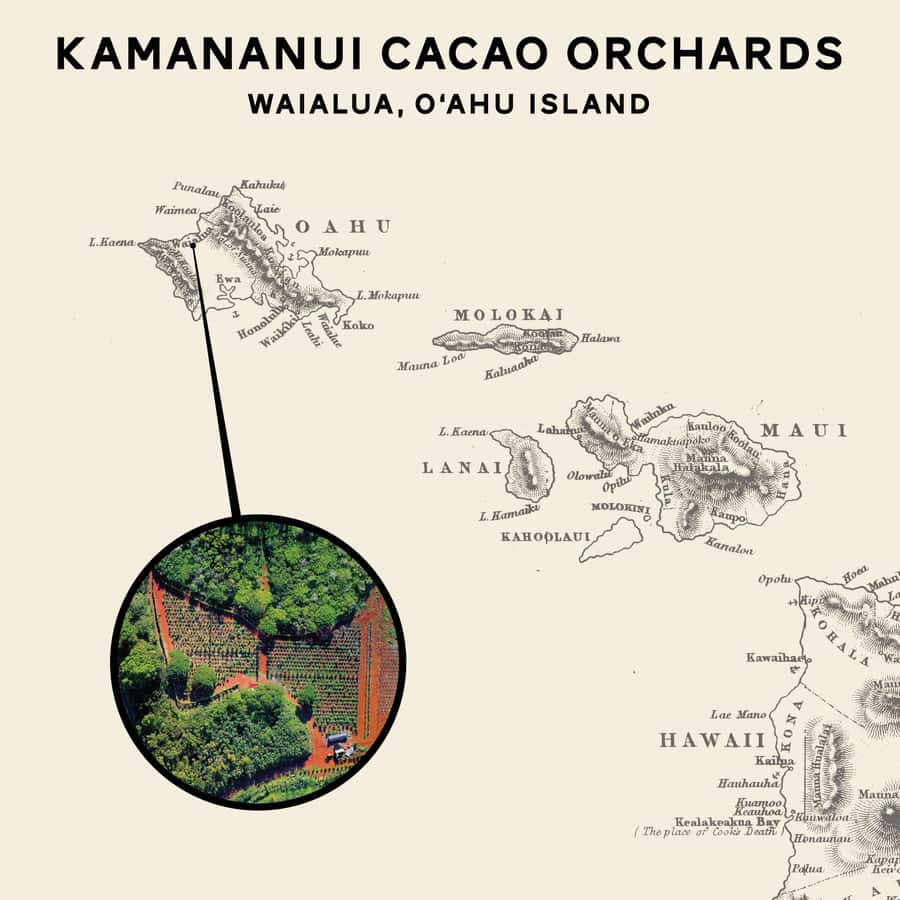 Oahu: Chocolate Farm Tour with Tasting - Kamananui Cacao - Walking through the trees near Haleiwa