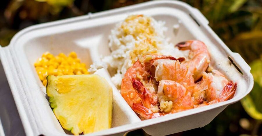 Oahu: Circle Island Day Trip with Shrimp Plate Lunch - Key points to know before booking