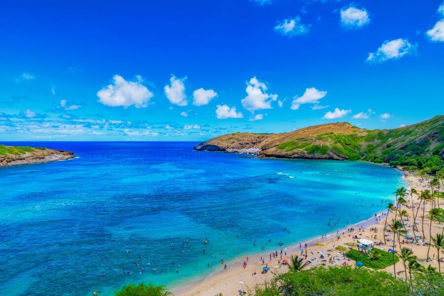 Oahu: Circle Island Top Sights Full-Day Tour w/ Local Guide - Nu‘uanu Pali Lookout and the story of unification