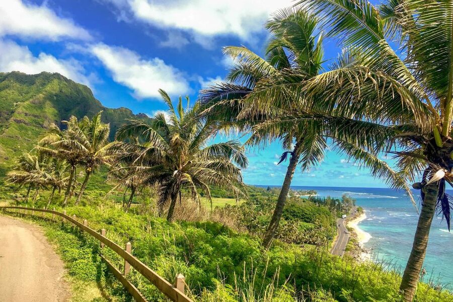 Oahu: Circle Island Top Sights Full-Day Tour w/ Local Guide - Byodo-In Temple: calm in the middle of a busy day