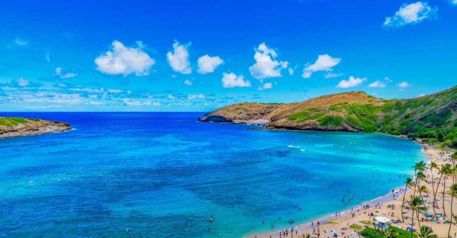 Oahu: Circle Island Top Sights Full-Day Tour w/ Local Guide - Diamond Head and Oahu’s South Shore