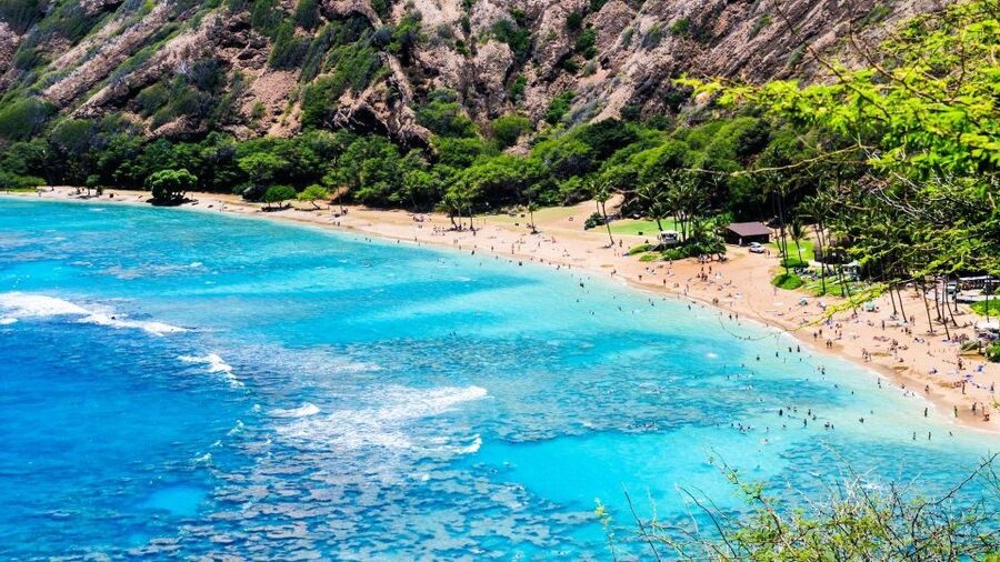 Oahu Circle Island Tour - Best Spots & Beaches - What the small van changes