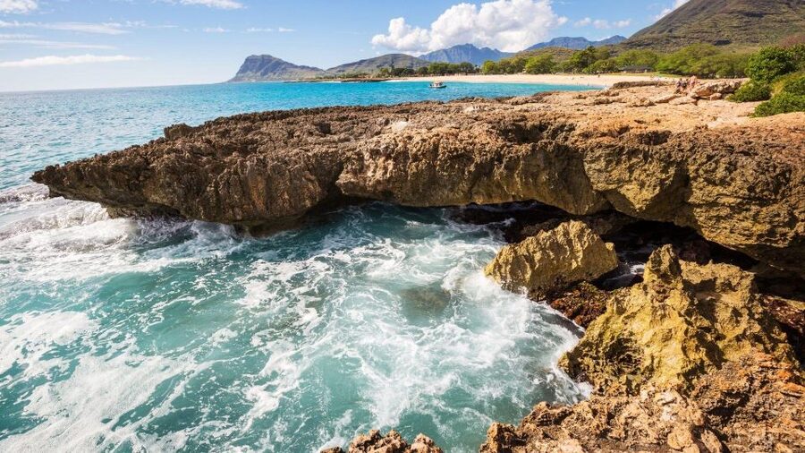 Oahu Circle Island Tour - Best Spots & Beaches - Is $139 a fair price?