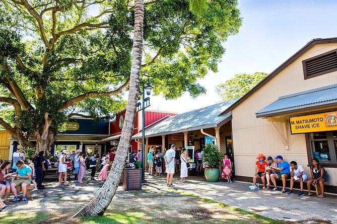 Oahu Circle Island Tour with Byodo-In Temple Admission - Diamond Head and Oahu’s southeast coast