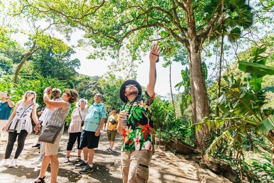 Oahu: Circle Island Tour with Lunch & Waimea Waterfall - Pali Lookout and the Valley of the Temples