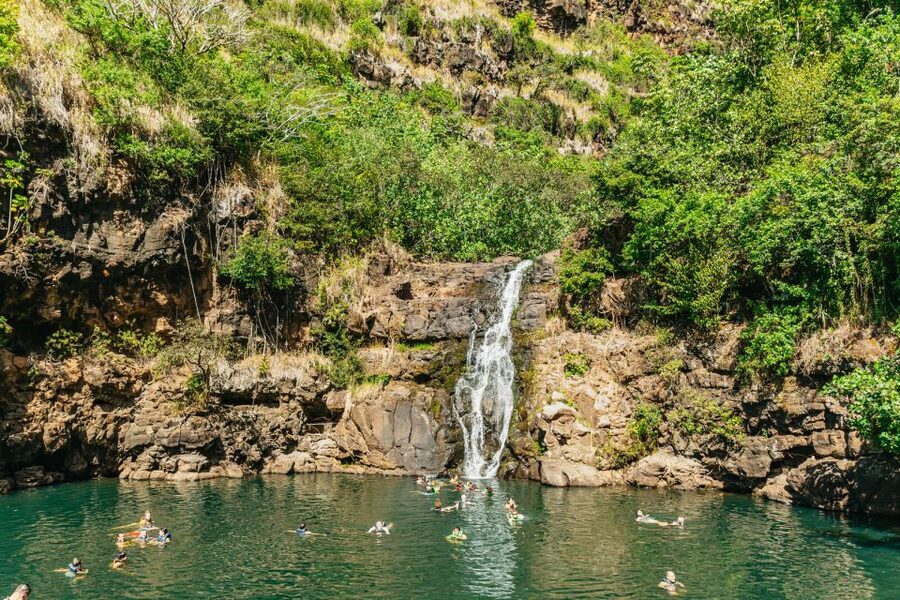 Oahu: Circle Island Tour with Lunch & Waimea Waterfall - Walking through Waimea Valley