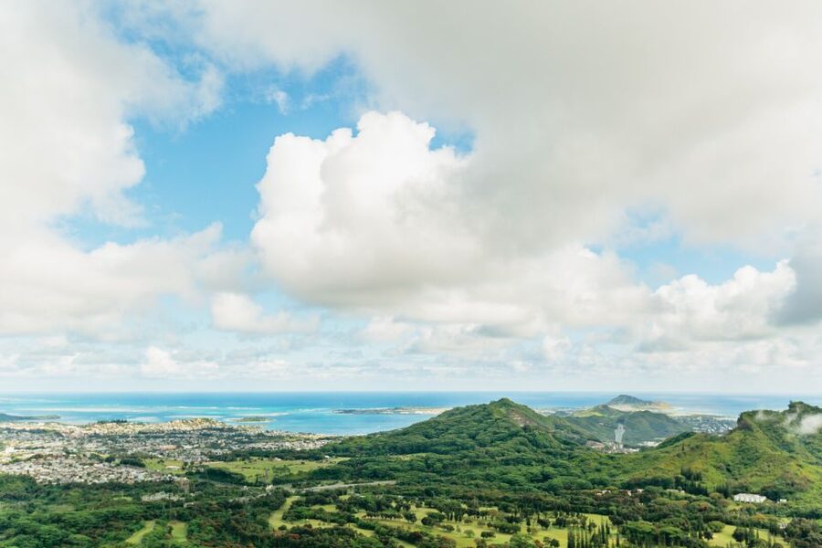 Oahu: Circle Island Tour with Lunch & Waimea Waterfall - Pineapples, Honolulu, and the ride home