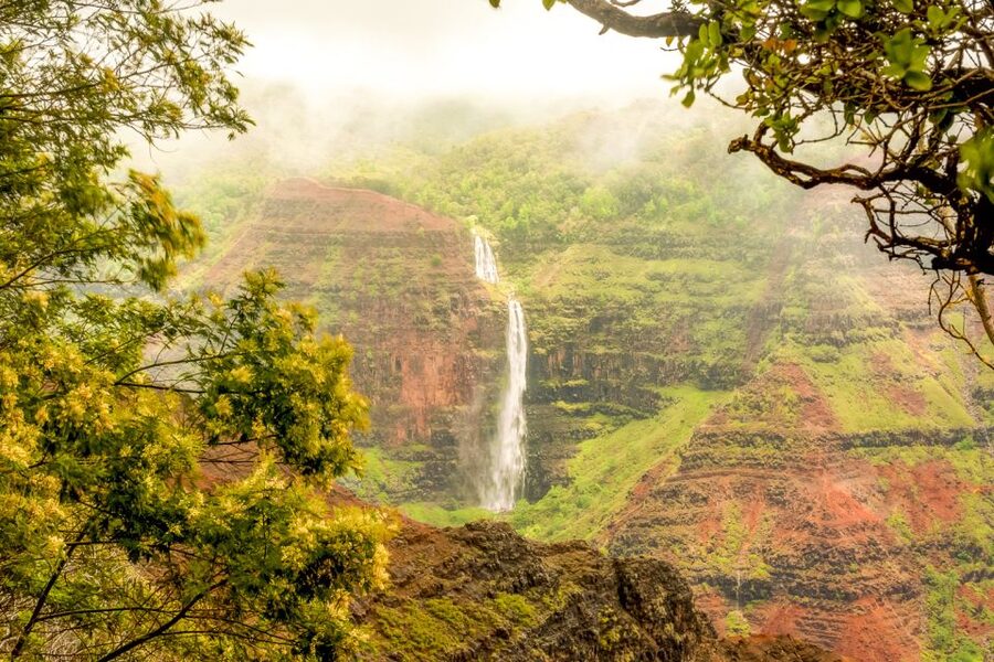 Oahu: Complete Island Tour with Tropical Waterfall Swimming - Coffee and the morning road to the North Shore