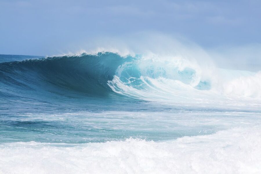 Oahu: Complete Island Tour with Tropical Waterfall Swimming - Waimea Valley and the waterfall swim