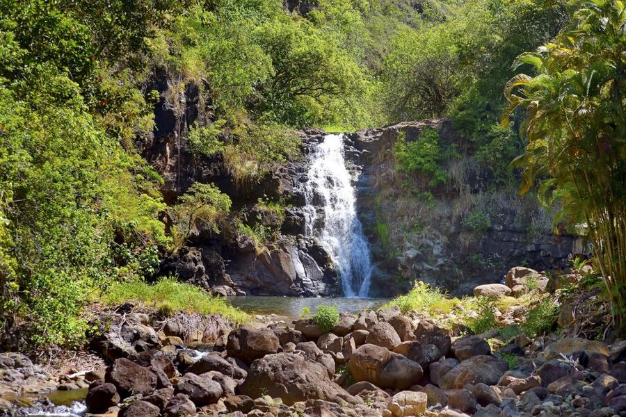 Oahu: Complete Island Tour with Tropical Waterfall Swimming - Makapuʻu, Halona, and the southeast coast