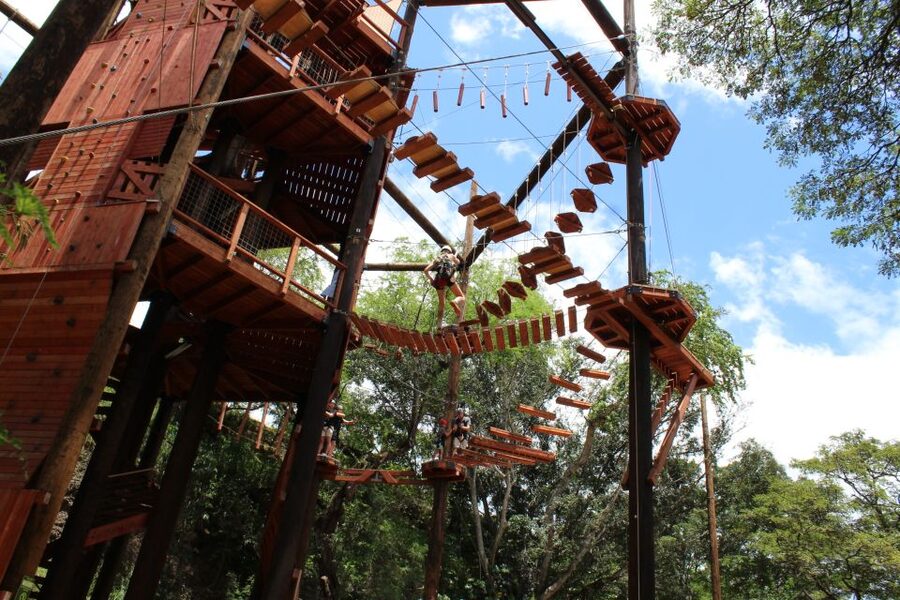 Oahu: Coral Crater Challenging Adventure Course - Moving through all 18 challenge elements