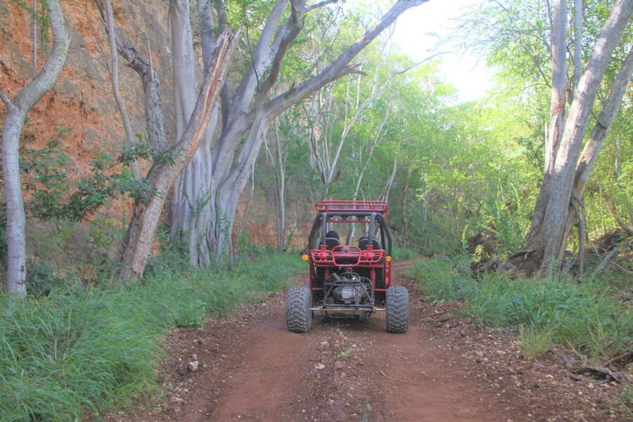 Oahu: Coral Crater Zipline and Offroad ATV Adventure - What the $153 price really includes