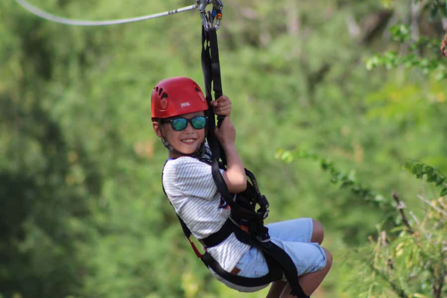 Oahu: Coral Crater Zipline Tour - Why the automatic braking matters