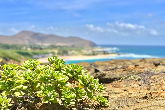 Oahu Custom Private Circle Island and Mini Circle Island Tours - One private vehicle, many possible Oahu days
