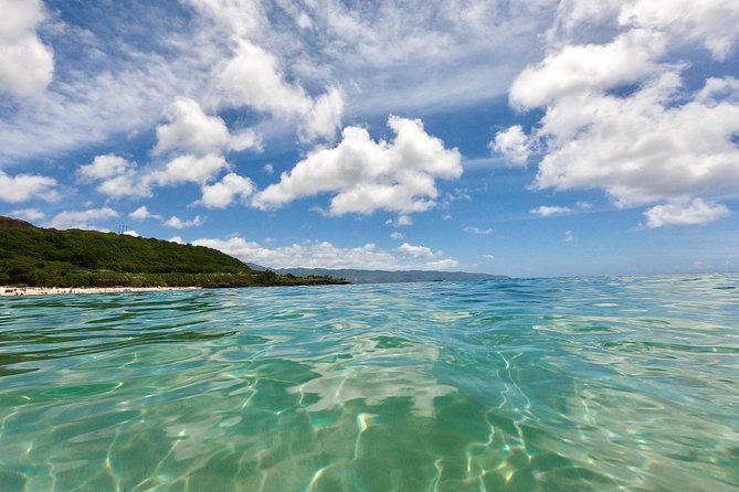Oahu Custom Private Circle Island and Mini Circle Island Tours - Is $699 good value for your group?