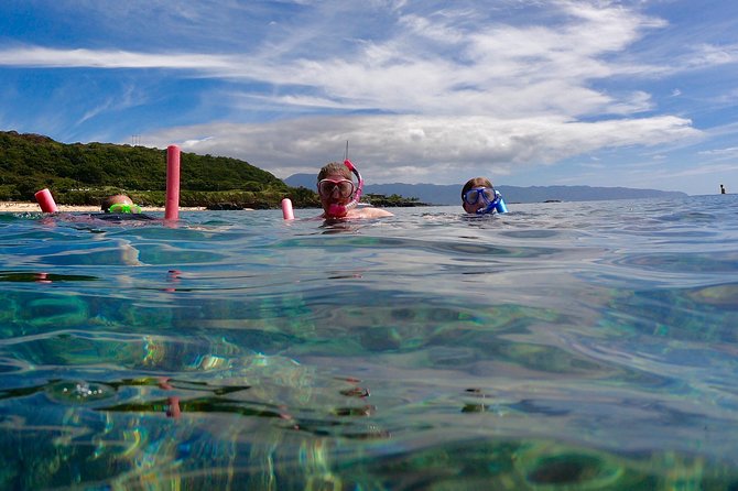 Oahu Customizable Private Community Service Voluntourism Offer - Is this Oahu service tour right for you?