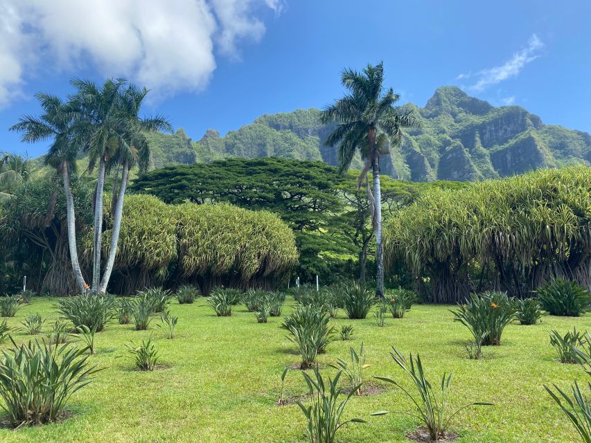 Oahu: Diamond Head Crater Hike and North Shore Experience - Kualoa Regional Park and the coastal view