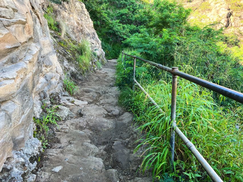 Oahu: Diamond Head Crater Trailhead Transfer & Entry Fee - What the strongest praise gets right