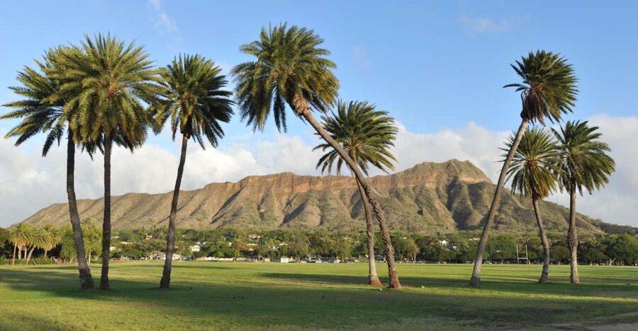 Oahu: Diamond Head Hike with Roundtrip Transportation - Who should book this early morning outing