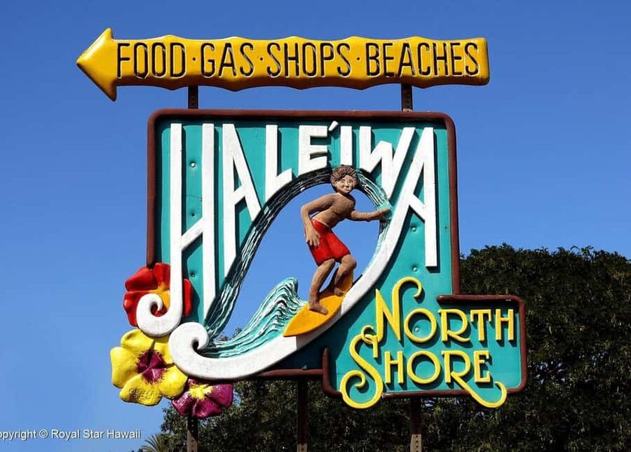 Oahu: Dole Plantation & Haleiwa Express Deluxe Tour - Should you book it?