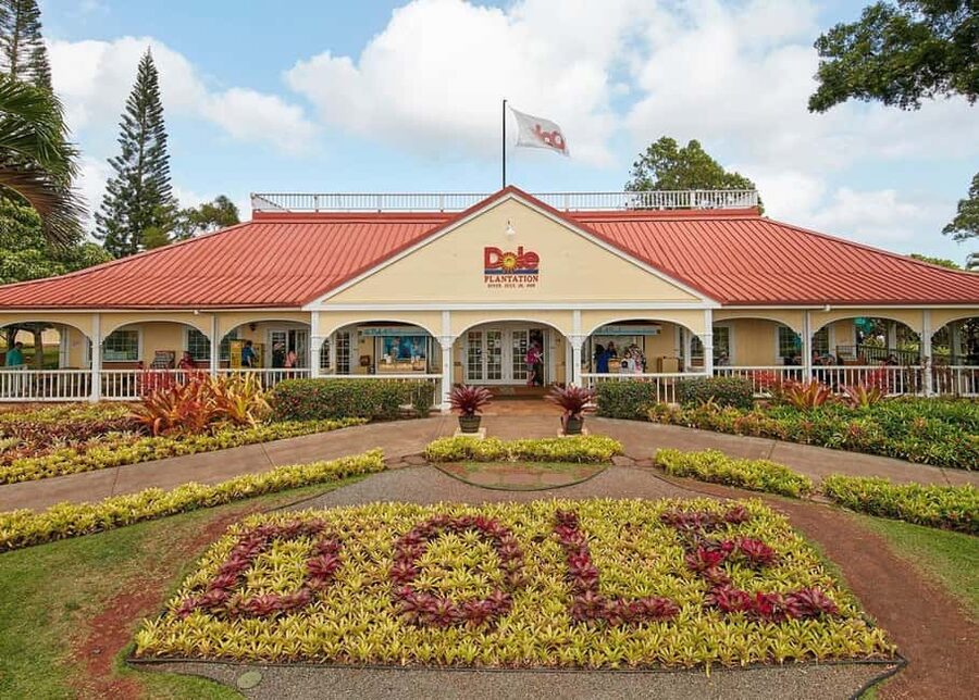 Oahu: Dole Plantation & Haleiwa Express Deluxe Tour - Why this Oahu day trip works