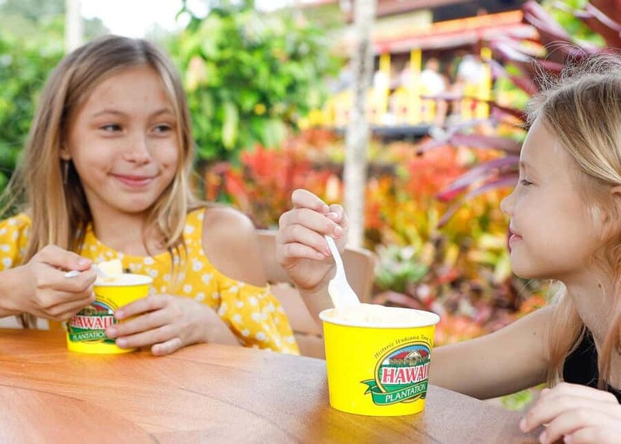 Oahu: Dole Plantation & Haleiwa Express Deluxe Tour - Dole Plantation in a 90-minute window
