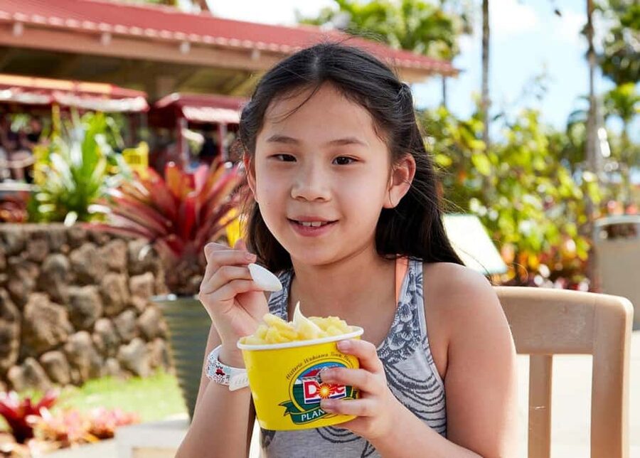 Oahu: Dole Plantation & Haleiwa Express Deluxe Tour - The motorcoach and the people leading it