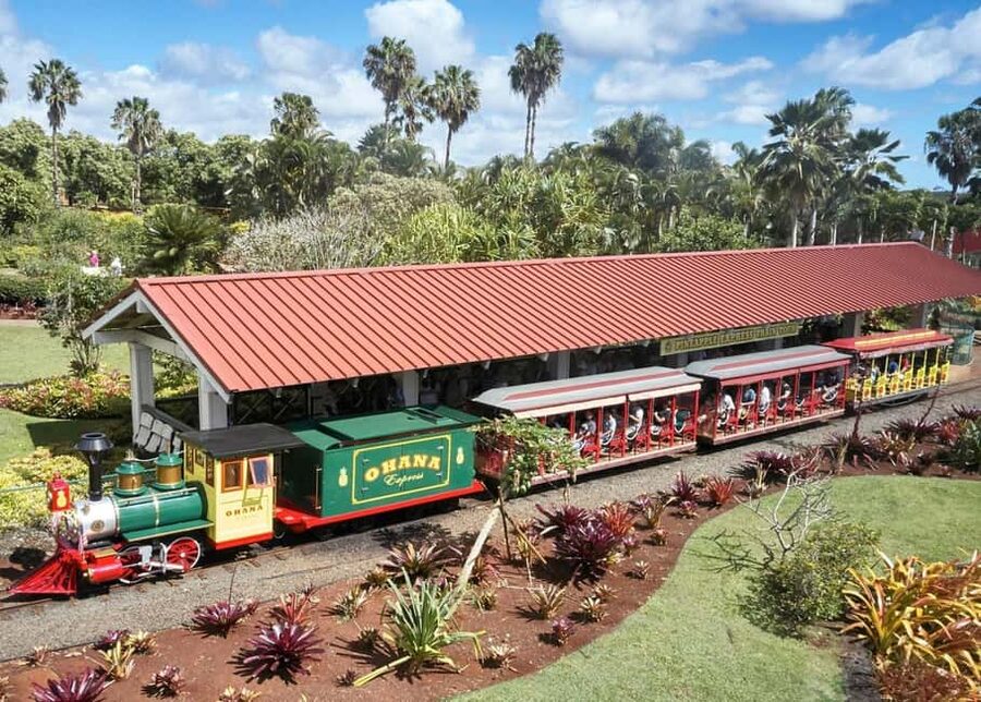 Oahu: Dole Plantation & Haleiwa Express Deluxe Tour - What the $100 price really covers
