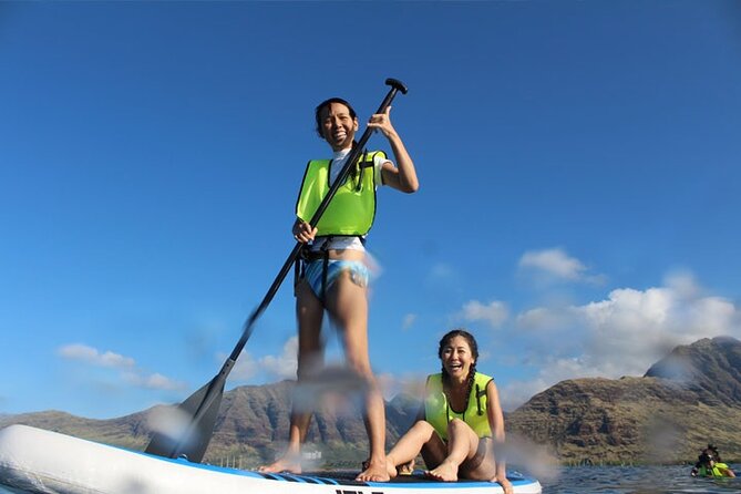 Oahu Dolphin and Snorkel Tour with Waikiki Pickup & Lunch - Searching for spinner dolphins in the wild