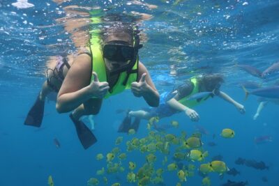 Oahu Dolphin and Snorkel Tour with Waikiki Pickup & Lunch