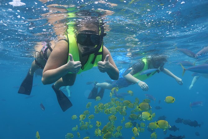 Oahu Dolphin and Snorkel Tour with Waikiki Pickup & Lunch - Boarding the boat and setting the tone
